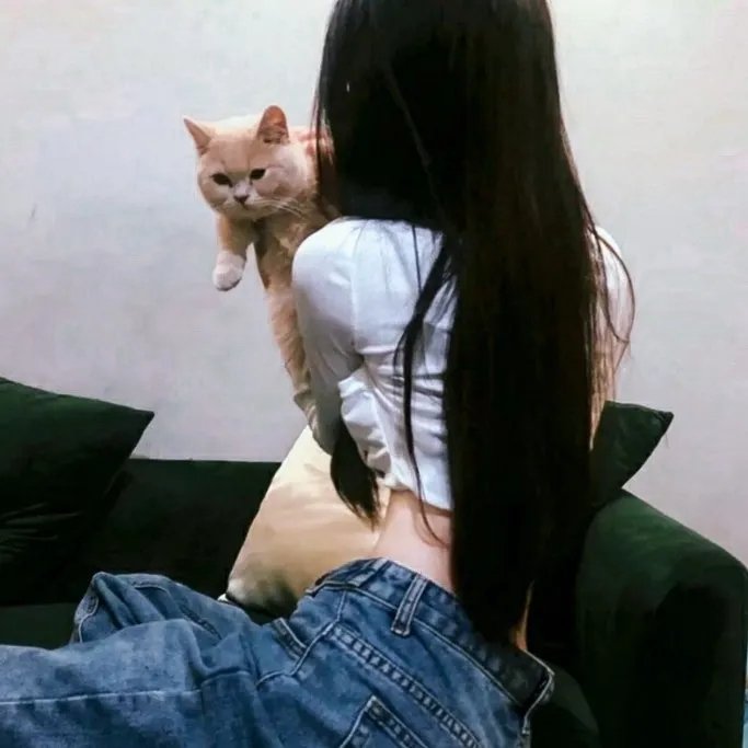 歼灭行动粤语在线观看